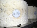 PREMIO ALIMENTOS DE ESPAÑA AL MEJOR QUESO 2015