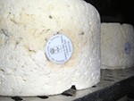 PREMIO ALIMENTOS DE ESPAÑA AL MEJOR QUESO 2015